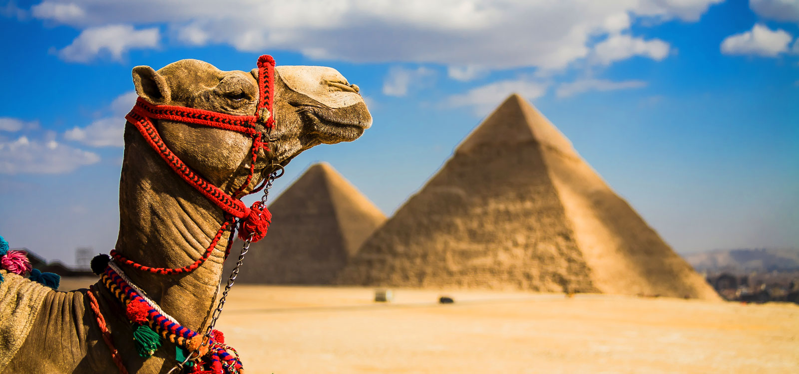 PremiumTour - туры в Египет
